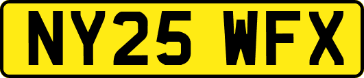 NY25WFX