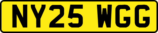 NY25WGG