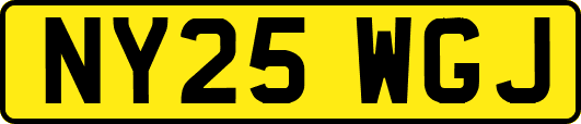 NY25WGJ