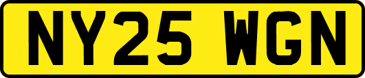 NY25WGN