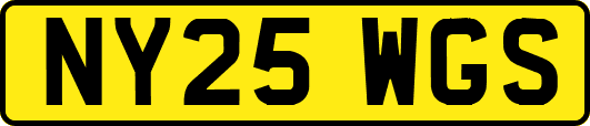 NY25WGS