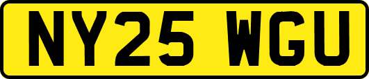 NY25WGU