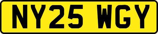 NY25WGY