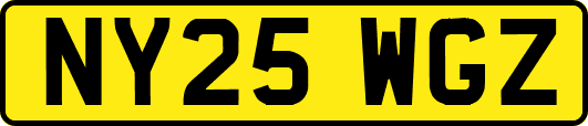 NY25WGZ