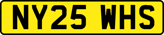 NY25WHS