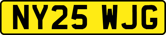NY25WJG