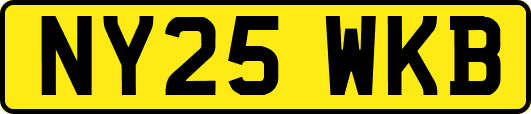 NY25WKB