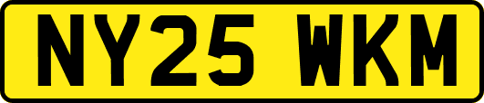 NY25WKM