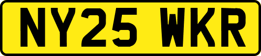 NY25WKR