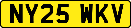 NY25WKV
