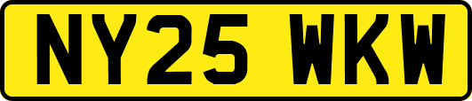 NY25WKW