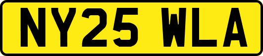 NY25WLA