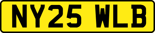 NY25WLB