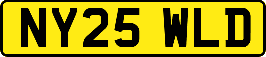 NY25WLD