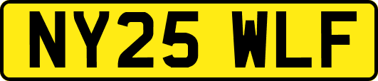 NY25WLF