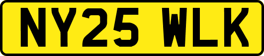 NY25WLK