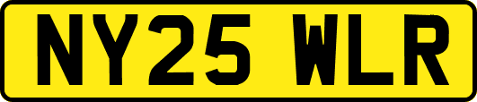 NY25WLR