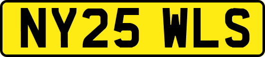 NY25WLS