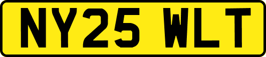 NY25WLT