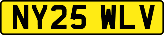NY25WLV