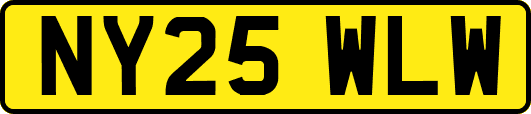 NY25WLW