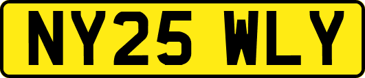 NY25WLY