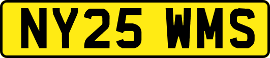 NY25WMS