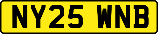 NY25WNB