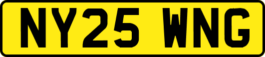 NY25WNG