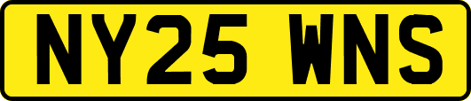 NY25WNS