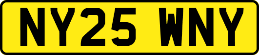 NY25WNY
