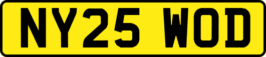 NY25WOD
