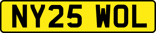 NY25WOL