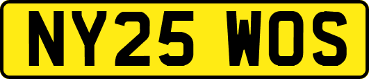 NY25WOS