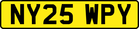 NY25WPY