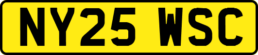 NY25WSC