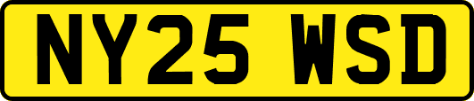 NY25WSD