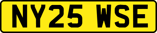 NY25WSE