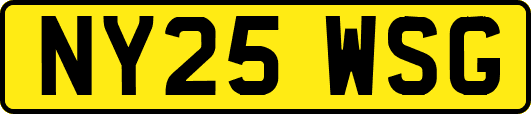 NY25WSG