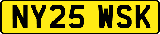 NY25WSK