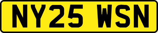 NY25WSN