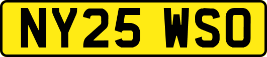 NY25WSO