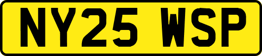 NY25WSP