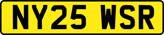 NY25WSR