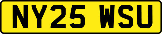 NY25WSU