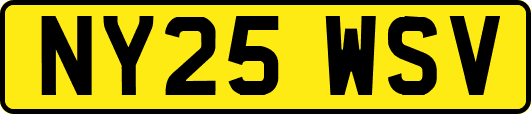 NY25WSV