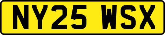 NY25WSX