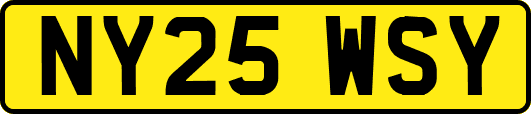 NY25WSY