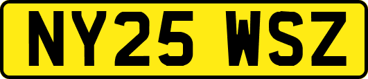 NY25WSZ