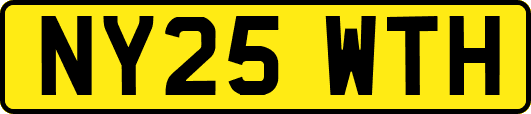 NY25WTH